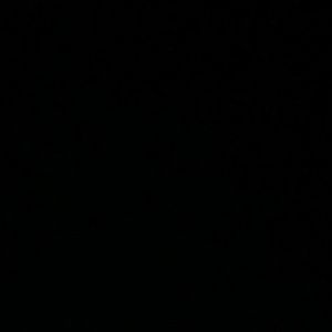 Meet your Posher, Roberta